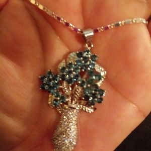 Silver 30" necklace and pendant